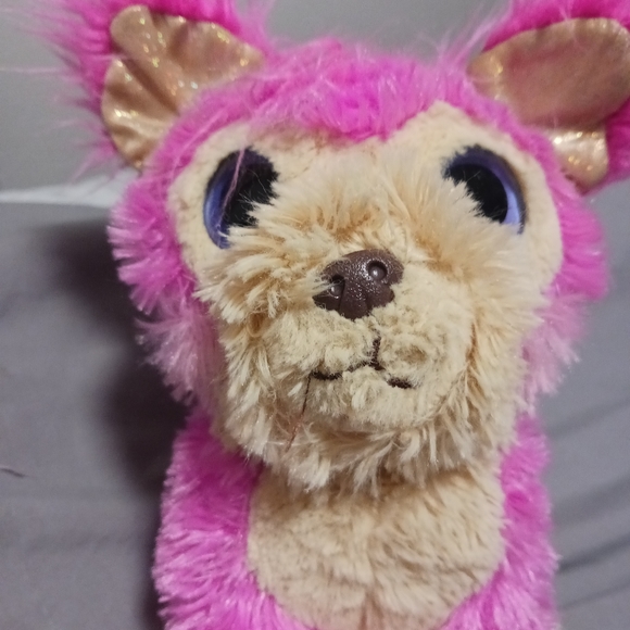 Little live pet dog - Picture 2 of 5